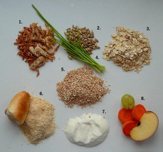[univerzální krmná směs - Příklad složení univerzální krmné směsi: 1. sušení vodní korýši 3 druhy, 2. obilí (zde žito), 3. ovesné vločky, 
          4. zelná složka (zde naklíčené obilí), 5. drcená kukuřičná vřetena, 6. strouhanka a zbytky pečiva, 7. sušené mléko, mouka, 
          8. ovoce a zelenina]